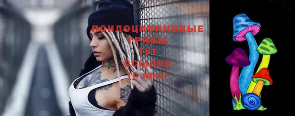 дурь Балахна