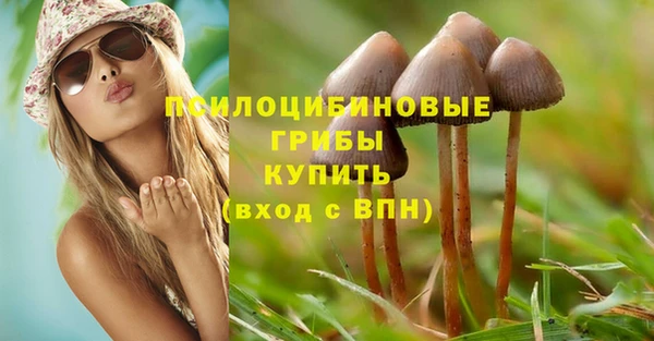дурь Балахна