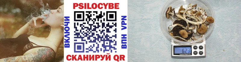 Галлюциногенные грибы Psilocybine cubensis  Междуреченск 